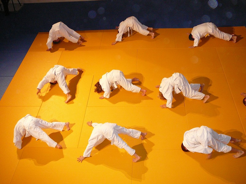 Exhibice 2008